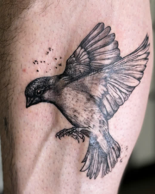 Bird, black and grey realism, by an Ink Different Apprentice